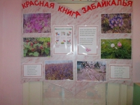 ПРИЕМНАЯ